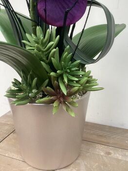 Purple Artificial Silk Orchid Mothers Day Gift, 2 of 6