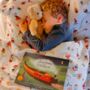 'The Sleepytown Express' Bedtime Story And Song Non Personalised Edition, thumbnail 1 of 12