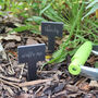 Funny Slate Plant Markers Set Of Six, thumbnail 5 of 6