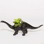 Diplodocus Dinosaur Planter With A Plant, thumbnail 7 of 8