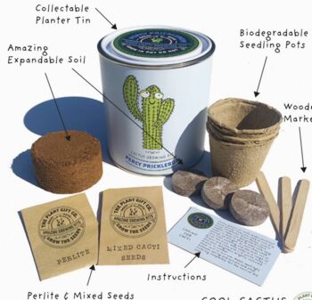 Personalised Percy Pricklebum. Grow Your Own Cacti Kit, 5 of 6
