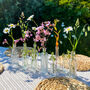 Set Of Six Glass Bottle Vases With Cork Stoppers, thumbnail 2 of 8