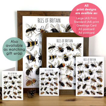 Bees Of Britain Wildlife Watercolour Print, 3 of 6