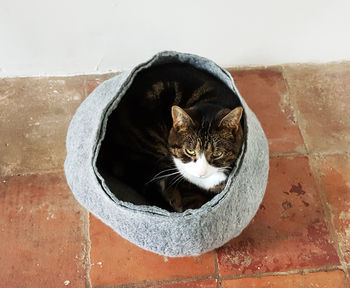 Cat Bed Basket, 2 of 4