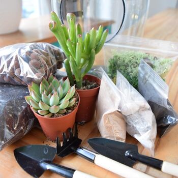 Open Terrarium Kit With Succulent Cactus Plant Gift, 6 of 8