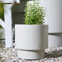 Noma Beige Footed Planter, thumbnail 1 of 8