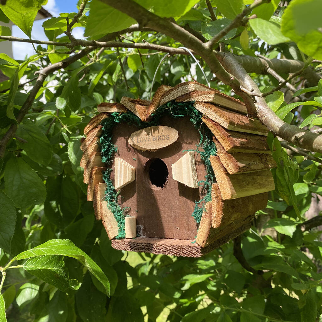 Set Of Two Love Bird Nest Boxes By Garden Selections ...