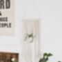 The Macramé Plant Hanger Craft Kit, thumbnail 8 of 9