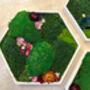 Hexagonal Moss Wall Art, Honeycomb Moss Wood Hexagon, thumbnail 7 of 12