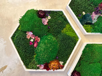 Hexagonal Moss Wall Art, Honeycomb Moss Wood Hexagon, 7 of 12