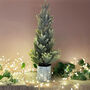 Mini Christmas Tree In Metal Pot, thumbnail 4 of 4