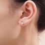 Goldfinch Bird Stud Earrings In Sterling Silver, thumbnail 5 of 12