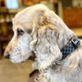 Alfie Hound Harris Tweed Dog Collar, thumbnail 4 of 5