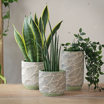 Terracotta 'Leaf' Planters And Vase, 7 of 7