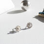 Sterling Silver Daisy Flower Earrings In A Gift Box, thumbnail 2 of 8