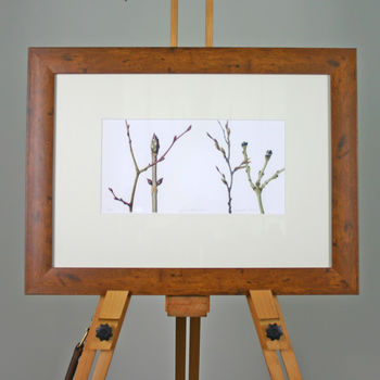 'Winter Branches' Limited Edition Print, 2 of 5