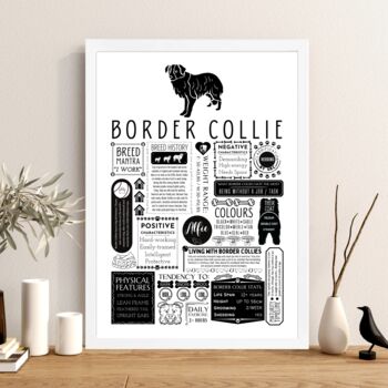Personalised Border Collie Dog Trait Fact Print, 5 of 7