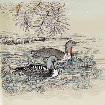 'Red Throated And Pacific Loons' Print, 3 of 3