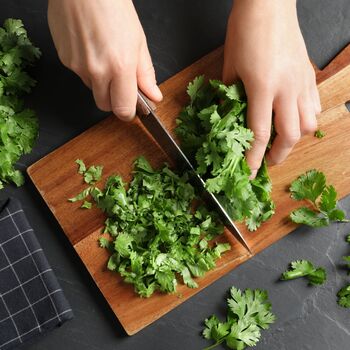 Herb Plants Coriander 12 X Plug Plant Pack, 3 of 5