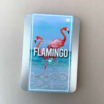 Adopt A Flamingo Gift Tin, 4 of 4