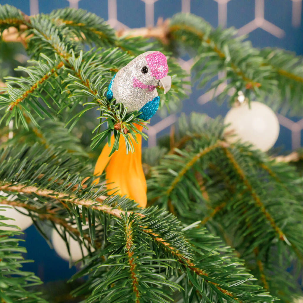 Set Of Three Multi Coloured Clip On Bird Decorations By Posh Totty