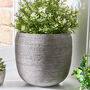 Mesiac Rippled Grey Plant Pot, thumbnail 1 of 4