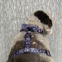Navy And Pink Floral Dog Harness, thumbnail 6 of 7