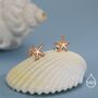 Sterling Silver Little Star Fish Stud Earrings, thumbnail 5 of 12