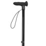Black Walking Stick, thumbnail 3 of 3