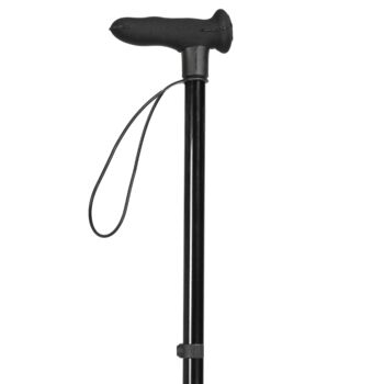 Black Walking Stick, 3 of 3