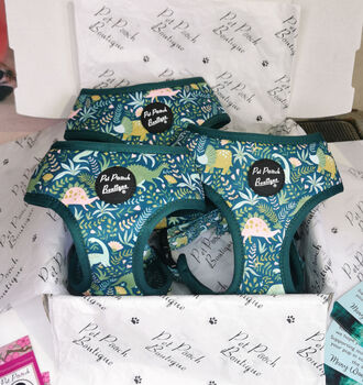 Dino Rawr Dog Harness With Optional Set, 2 of 12