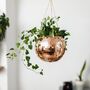 Rose Gold Disco Ball Hanging Planter, thumbnail 3 of 5