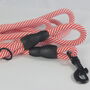 Red And White Stripped Rope Dog Lead, thumbnail 10 of 12