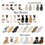 Personalised Dog Wall Décor, thumbnail 6 of 12