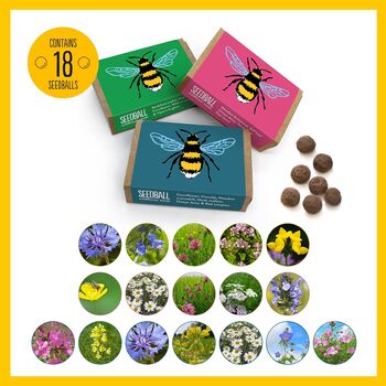 Wildflower Seed Balls For Bees Pack Of Three, 6 of 10