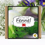 Herb Garden Fennel Growing Kit. Gardening Gift, thumbnail 1 of 6