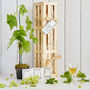 Grow Your Own White Wine Gift Crate, thumbnail 1 of 10