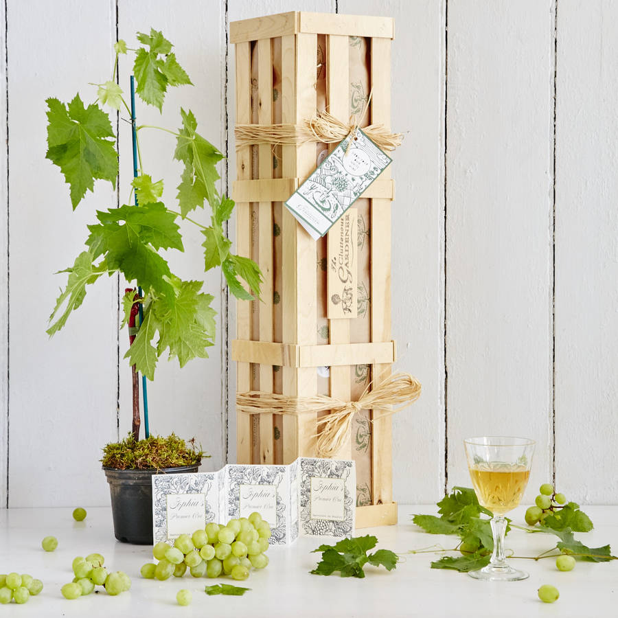 Grow Your Own White Wine Gift Crate, 1 of 10