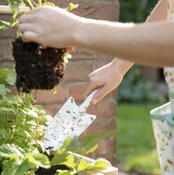 Bee Design Garden Tools, 3 of 5