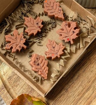 Twilight Woods Autumnal Wax Melts With Woody Scent, 7 of 7