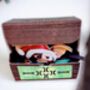 Gremlins, Gizmo In A Box Christmas Decoration Mogwai, thumbnail 12 of 12