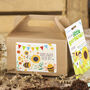 Kids Sunflower Seed Kit, Grow Your Own, Kids Party Bag, thumbnail 3 of 9
