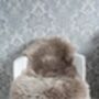 Sheepskin Rug Oyster Cappucino 100% Natural Super Soft, thumbnail 3 of 6