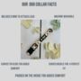 Patchwork/Plaid Dog Collar And Lead Set, thumbnail 3 of 6