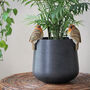 Set Of Two Robin Pot Hangers, thumbnail 2 of 3