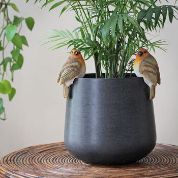 Set Of Two Robin Pot Hangers, 2 of 3