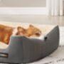 Pet Sofa Bed With Reversible Cushion And Raised Edges, thumbnail 2 of 9