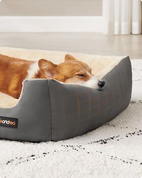 Pet Sofa Bed With Reversible Cushion And Raised Edges, 2 of 9