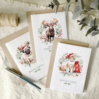 Fun Pun Christmas Cards Multi Pack Of 12, Plantable Wildflower Seed, 3 of 4
