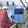 Horse Trailer Personalised Bird Box, thumbnail 3 of 10